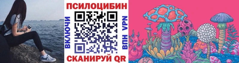 Купить  Чухлома  Галлюциногенные грибы мухоморы 